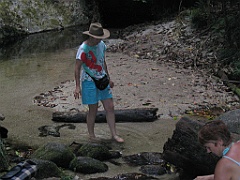 CairnsTC090 Mossman Gorge